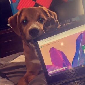 Meet your Posher, Devin